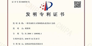 步入发展快车道，品世不平凡的2020年